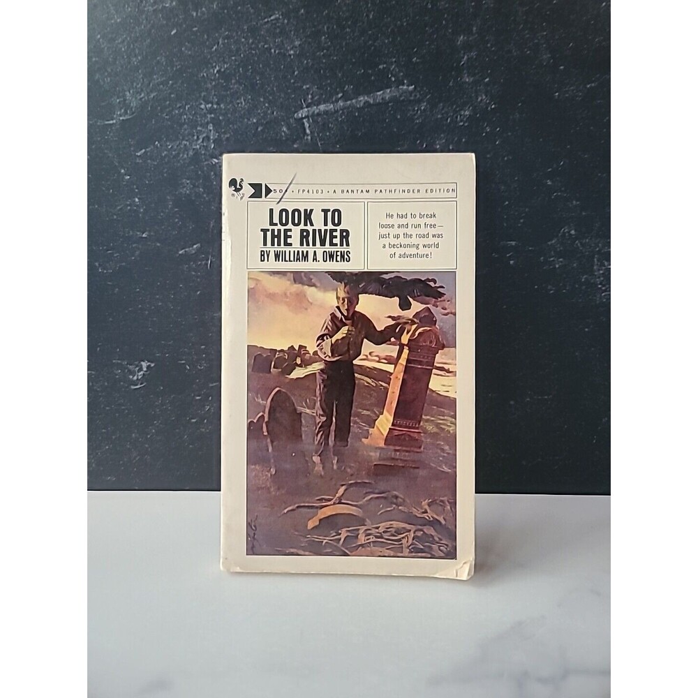 Look To The River By William A. Owens Paperback